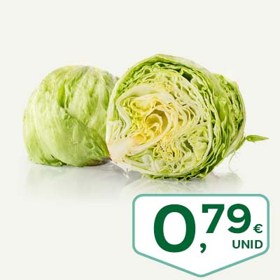 lechuga_iceberg_junio_ok