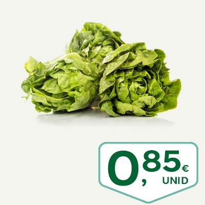 lechuga_baby_3unid_may