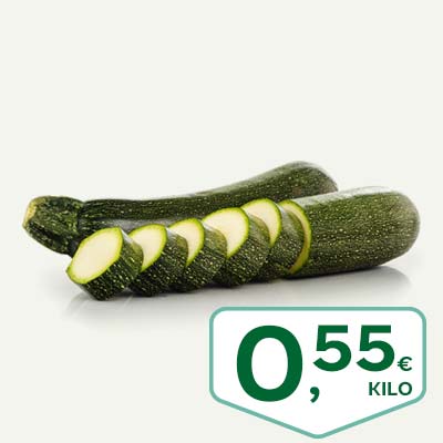 calabacin_junio