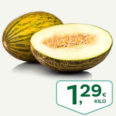melon_junio