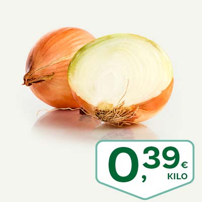 cebolla_julio