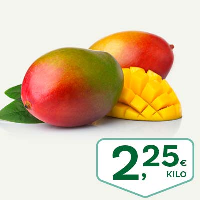 mango_sep26
